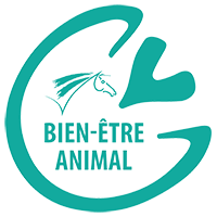 Centre équestre du Lot : Bien-être animal